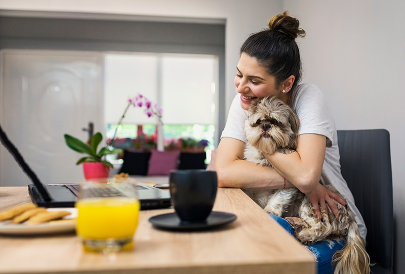 mujer usando su computadora portátil abraza a un perro