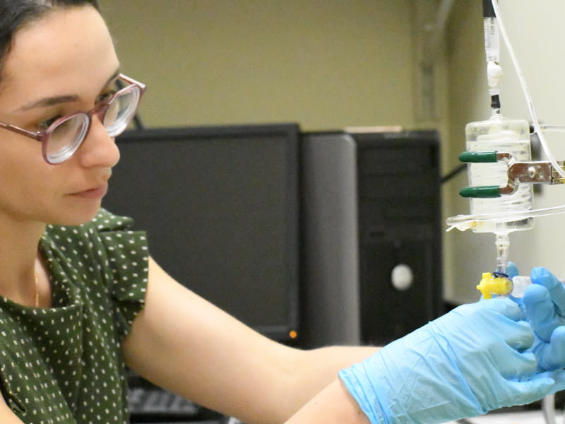 Paula Nieto-Morales, estudiante de doctorado en la Facultad de Medicina de Florida State University, trabaja en el laboratorio del Dr. José Pinto, profesor de ciencias biomédicas. (Foto cortesía de Paula Nieto-Morales)