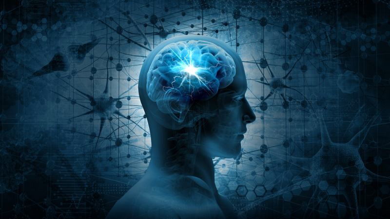 perfil de una cabeza azul perfil de una cabeza azul